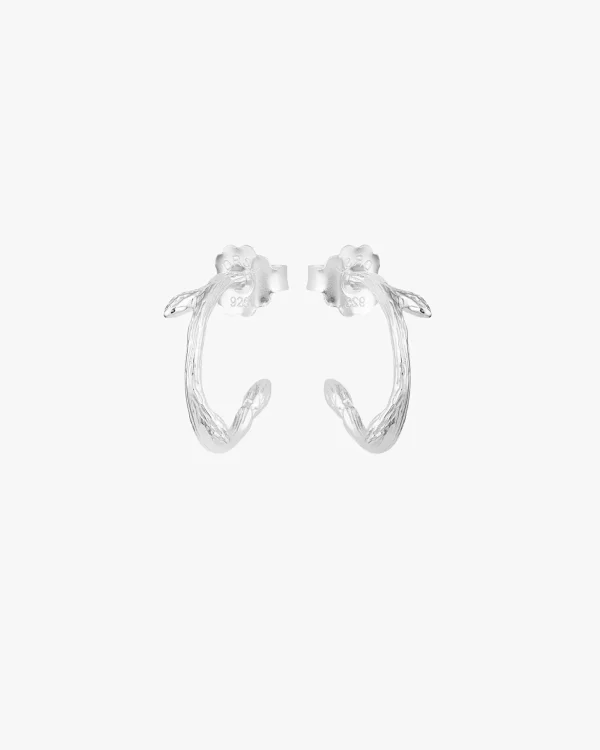 Branch hoops silver