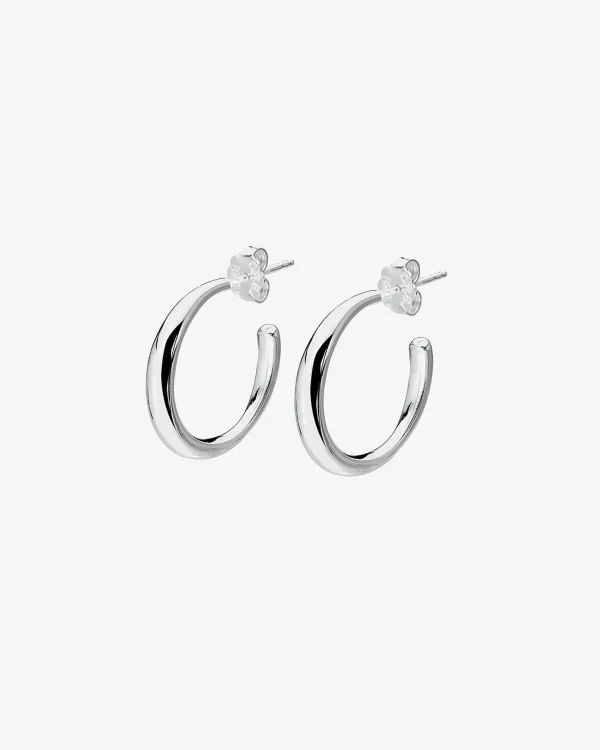 Les Amis hoops silver
