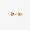 Stella Nova drop studs gold